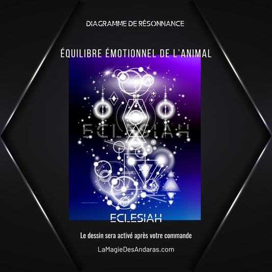 Équilibre émotionnel de l’animal / Dessin Agissant : diagramme de résonance 777