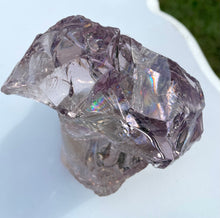 Cargar imagen en el visor de la galería, ANDARA Français bicolore Lilac de rose ~ 534 g | French Andaras 6D
