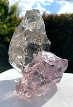 Cargar imagen en el visor de la galería, ANDARA Français bicolore Lilac de rose ~ 534 g | French Andaras 6D
