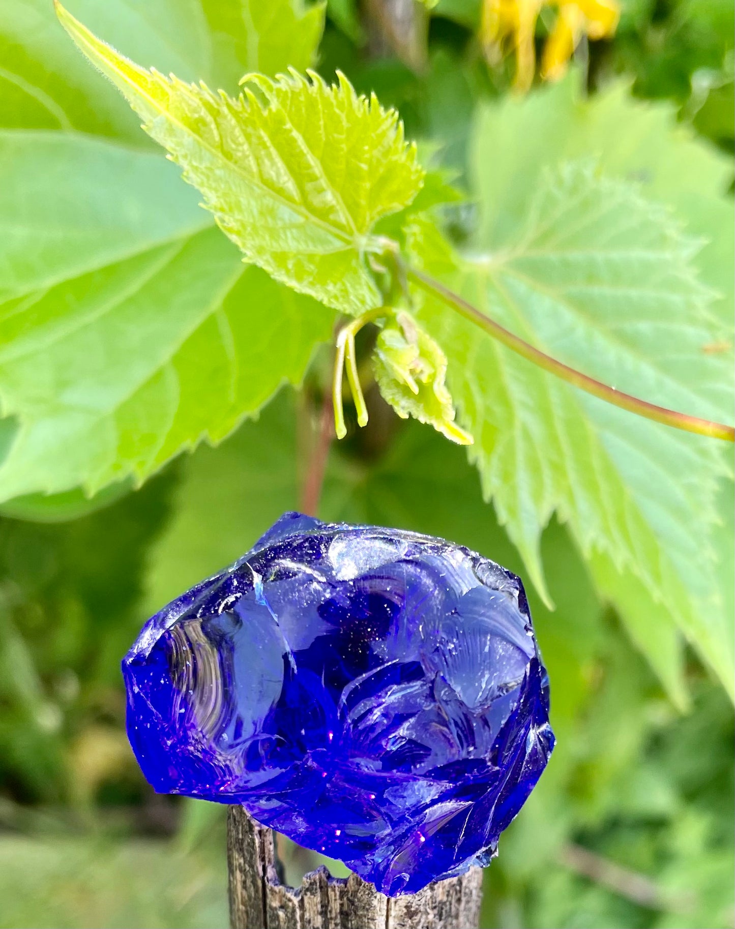 ANDARA Français Tanzanite ~ 34 g | boutique pierres Andaras