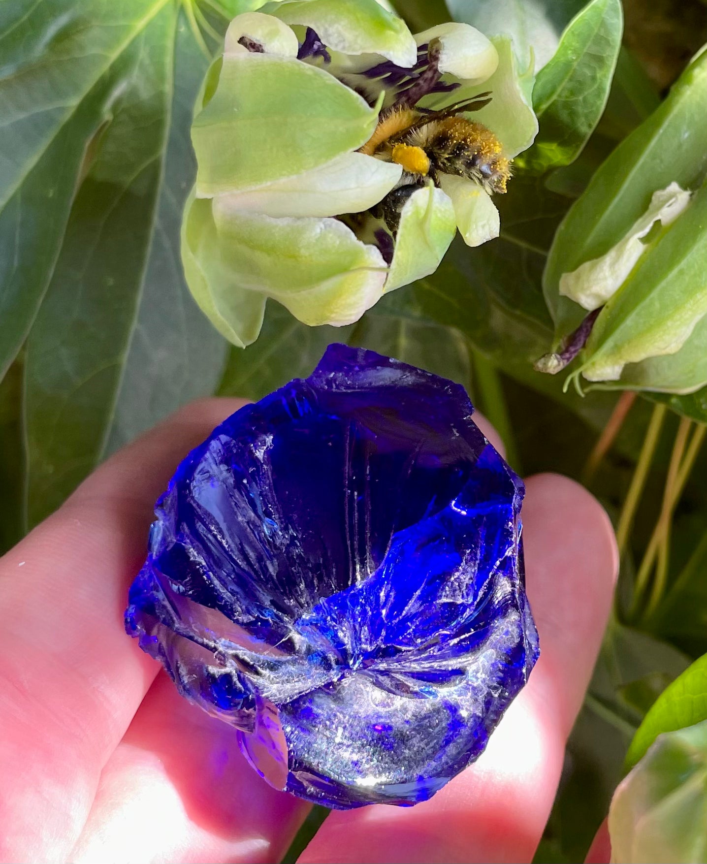 ANDARA Français Tanzanite ~ 34 g | boutique pierres Andaras