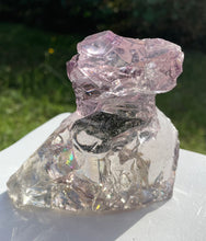 Cargar imagen en el visor de la galería, ANDARA Français bicolore Lilac de rose ~ 534 g | French Andaras 6D
