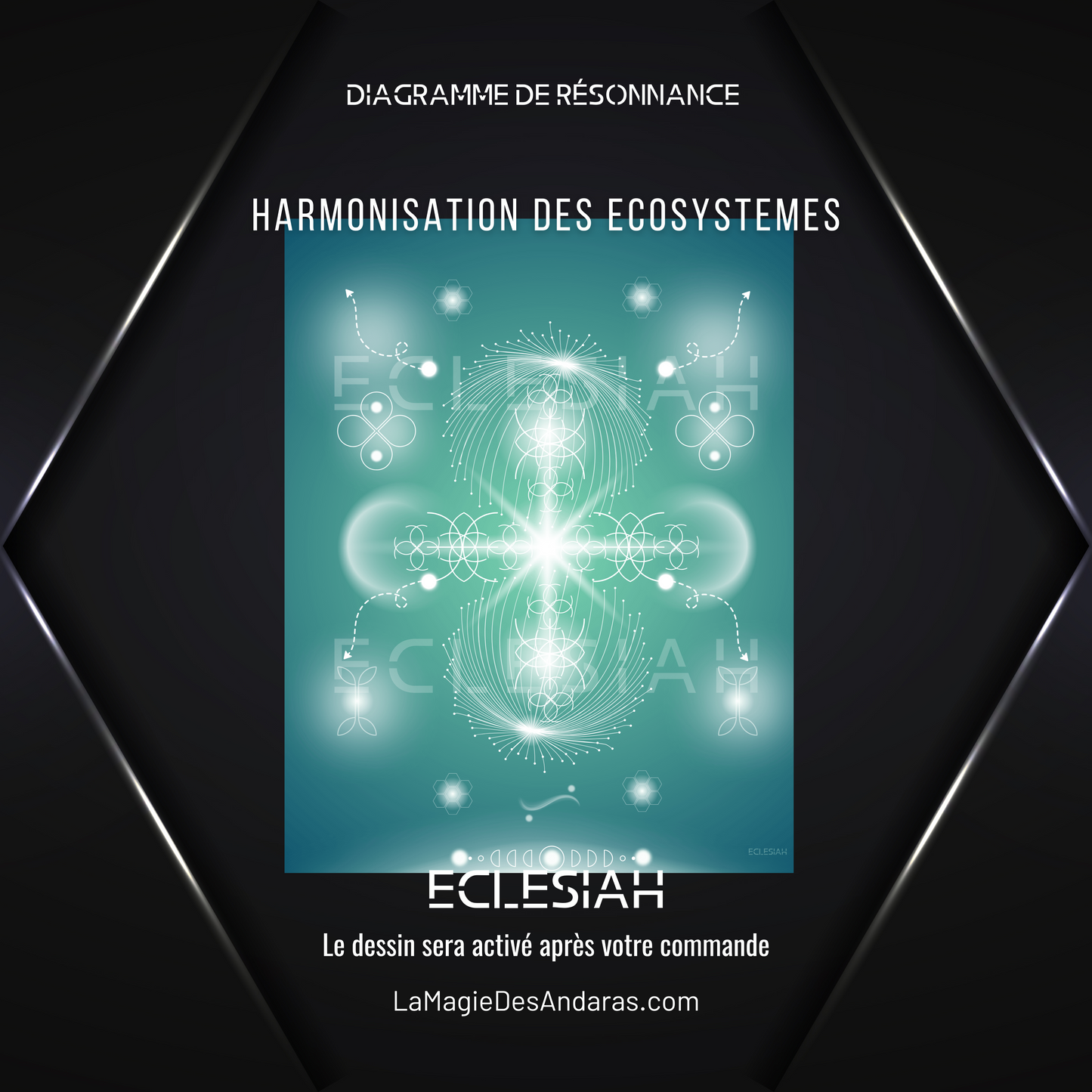 Harmonisation des ecosystèmes : Dessin agissant / diagramme de résonance