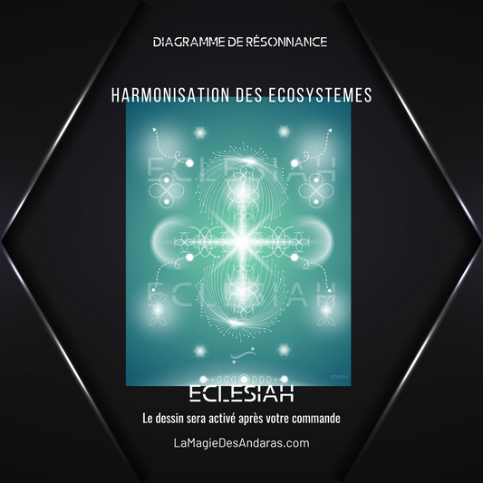 Harmonisation des ecosystèmes : Dessin agissant / diagramme de résonance