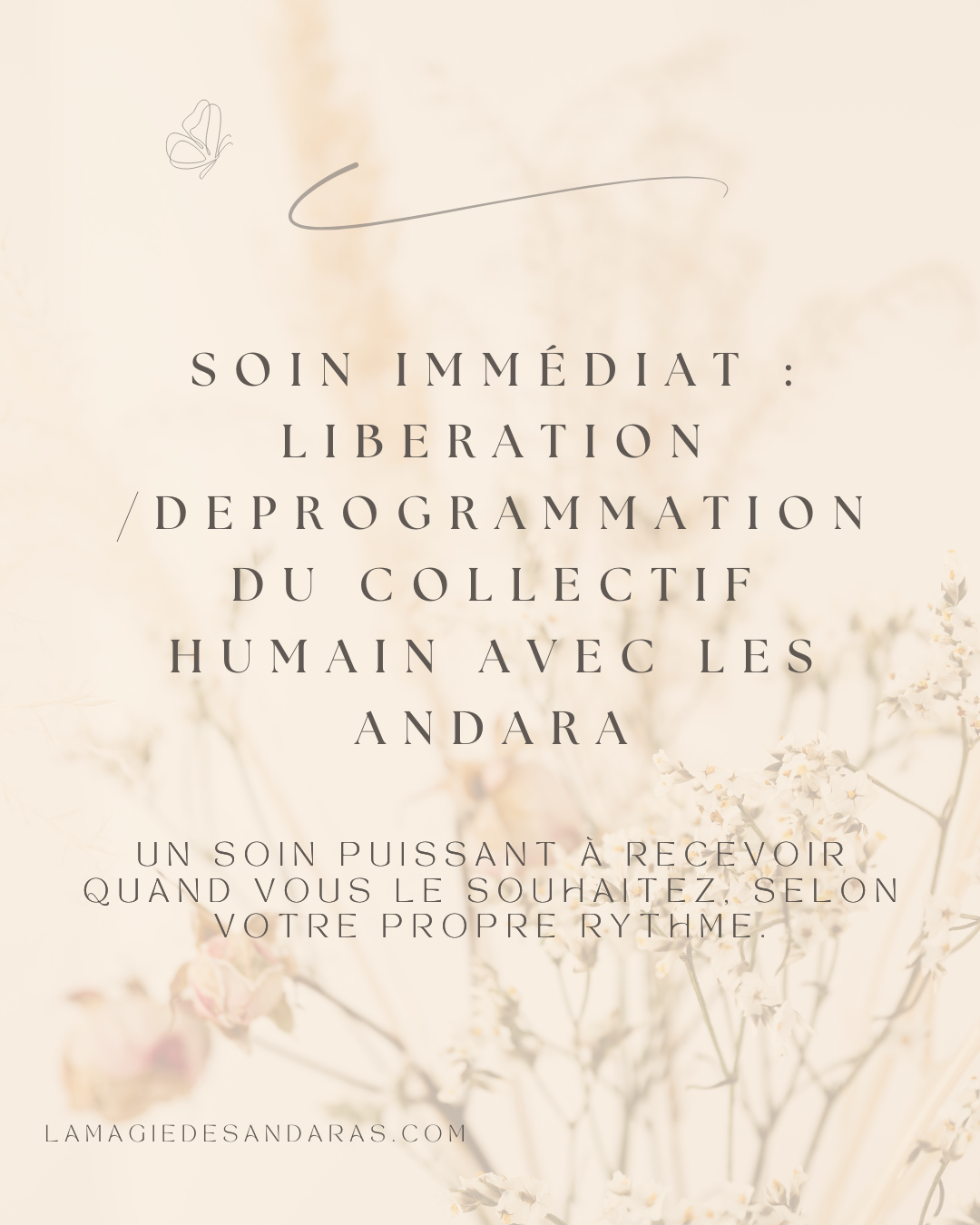 Soin immédiat : LIBERATION / DEPROGRAMMATION AVEC LES ANDARA 1/2