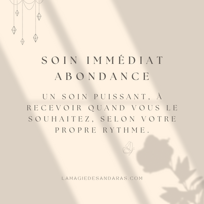 Soin immédiat : ACTIVATION DE L’ABONDANCE AVEC LES ANDARA