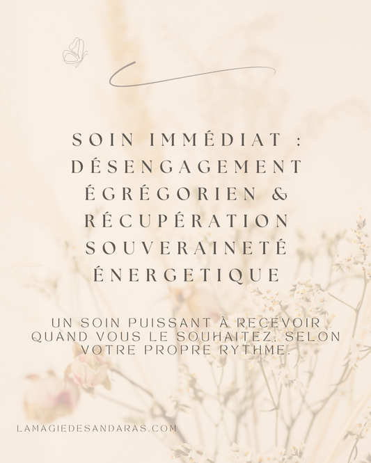 Soin immédiat : DÉSENGAGEMENT ÉGRÉGORIEN & RÉCUPÉRATION SOUVERAINETÉ ÉNERGETIQUE 2/2