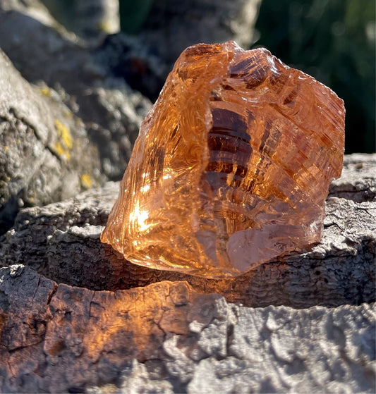 andara peche des bois d'or. eclesiah. la magies des andaras. france