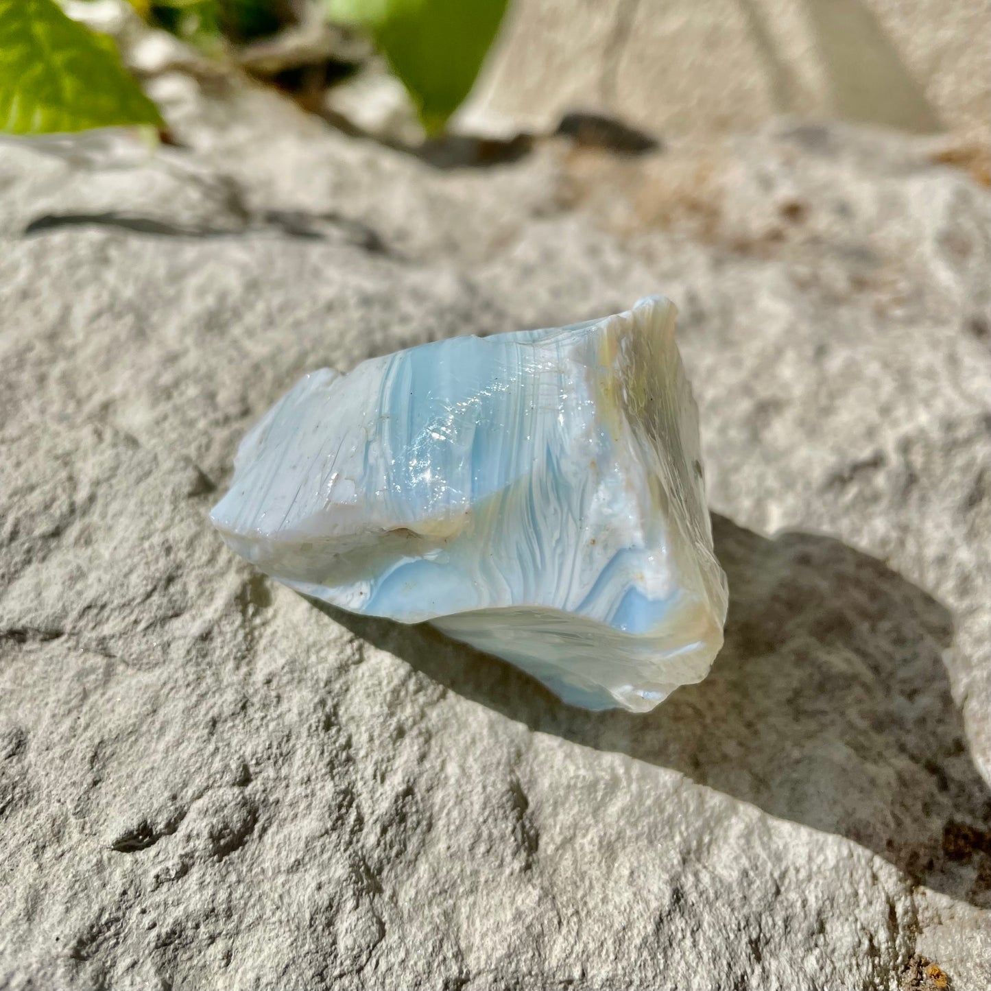 ANDARA Atypique Baleine cristalline 56 g