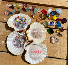 Cargar imagen en el visor de la galería, Puces ANDARA taille 1  en vrac ~ 50 g

