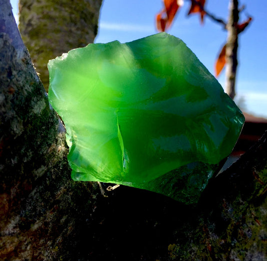 ANDARA Forêt de Broceliande