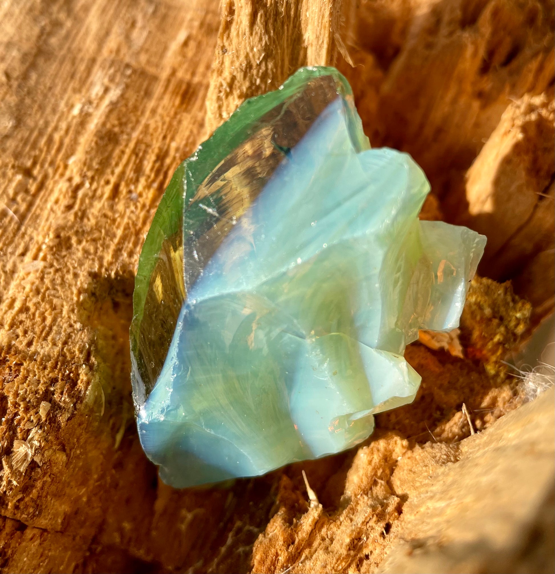 andara borealis lemurie