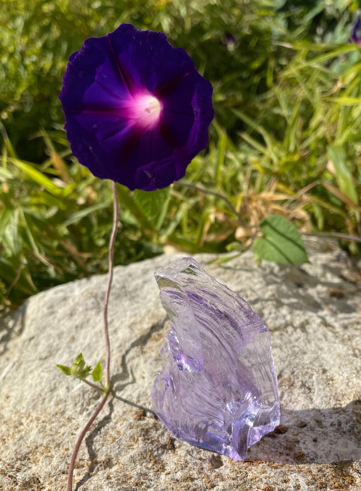 ANDARA Ascended Lilac 64 g ~ minéral