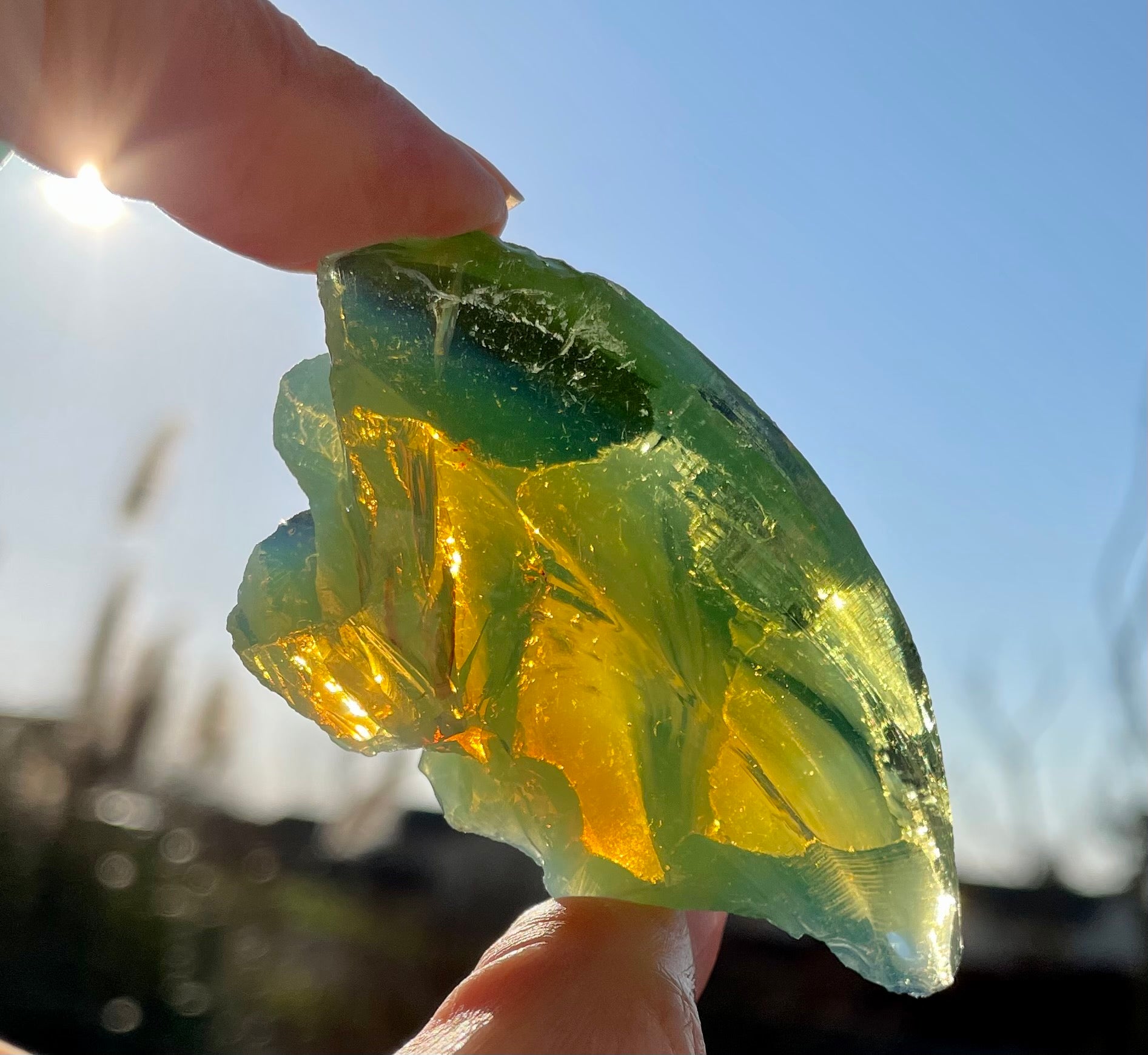 andara borealis lemuria