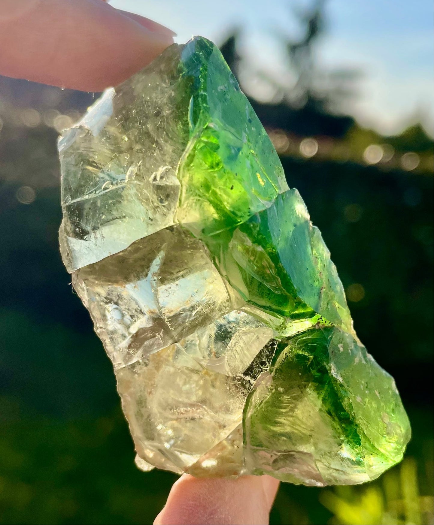 Rare ANDARA• bicolore Kilauea Hawaii LeMUria 70 g ~ cristal quantique 5D / REF 39