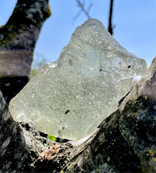 Rare ANDARA Elder Lady Nellie Ecume de Mer 175 g ~ minéral monoatomique