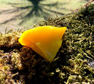 ANDARA Etherium Dragon Jaune Soleil 44 g