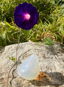 ANDARA Coeur de Licorne opalescent ~ 73 g