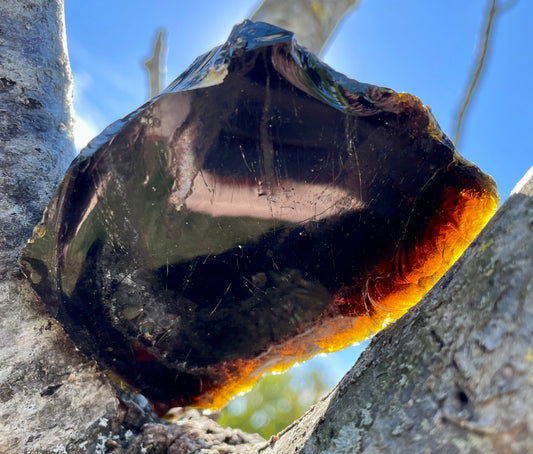 Rare ANDARA• Elder Chamane Perle Indienne 216 g